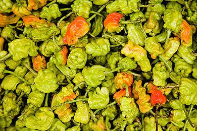 科幻弹幕射击游戏《故障星系》现已在Steam平台开启抢先体验